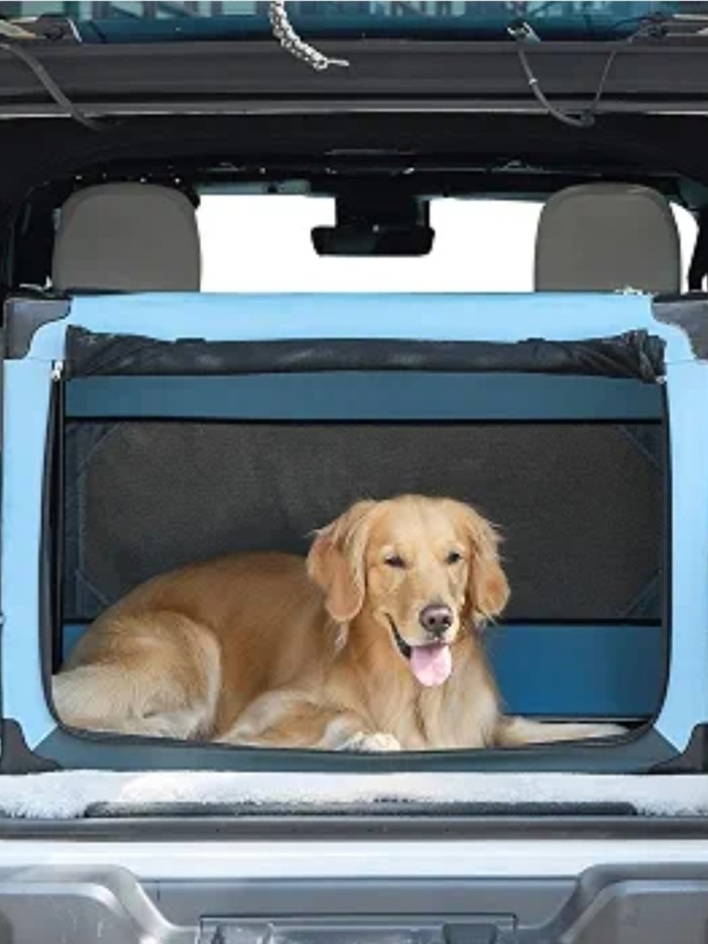 Collapsible Soft Dog Crate, 38in Portable Pet Kennel for Indoor & Outdoor Use